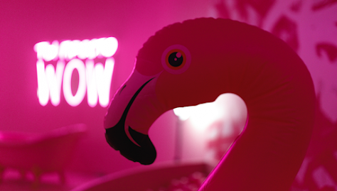 Фото №5 зала Mr.Flamingo