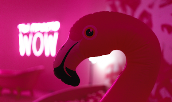 Фото №5 зала Mr.Flamingo