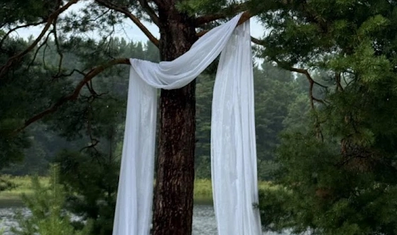 Фото №9 зала Беседка на берегу реки