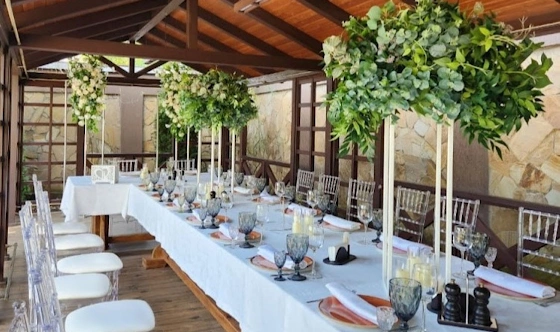 Фото №15 зала Летняя терраса 