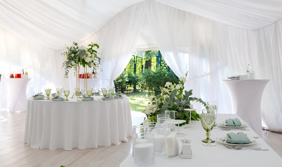 Фото №12 зала Шатёр на Воздушном театре