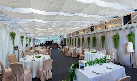 Фото №1 зала Летний сад