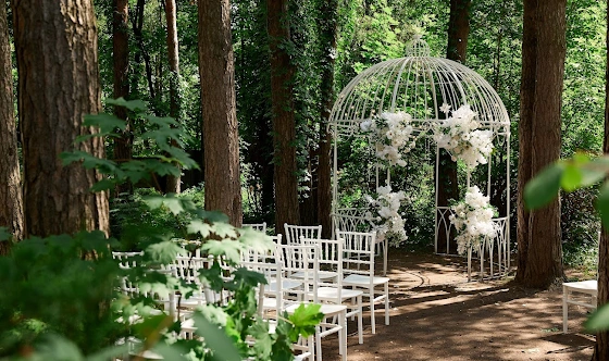 Фото №6 зала Веранда и Старинный особняк