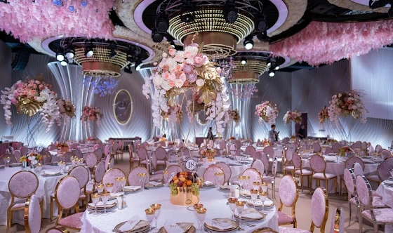 Фото №11 зала Зал  MERCURY