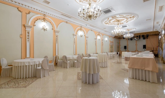 Фото №10 зала Зал «Золотой»