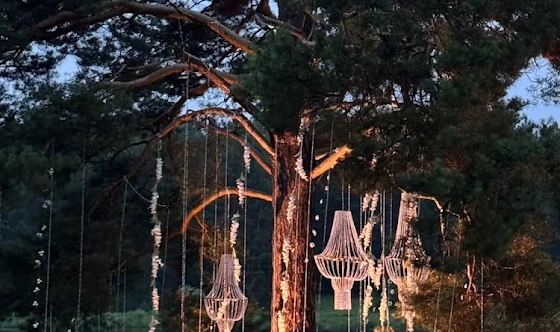 Фото №6 зала Беседка на берегу реки