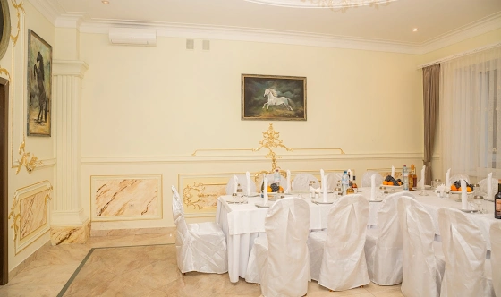 Фото №6 зала VIP-зал