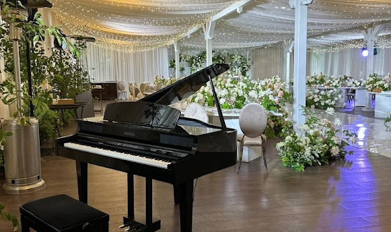 Фото №11 зала Летняя веранда