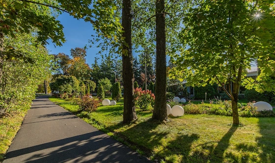 Фото №20 зала Шатер