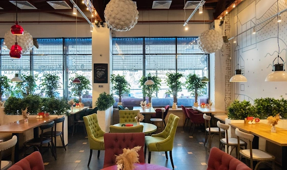 Фото №9 зала Основной зал