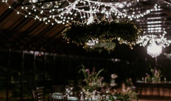 Фото №14 зала Стеклянная оранжерея