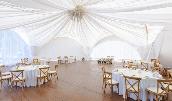 Фото №10 зала Сосновый бор