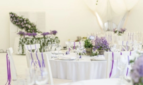 Фото №1 зала Малый шатер