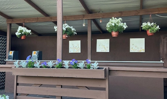 Фото №5 зала Терраса