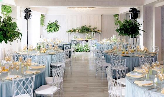 Фото №11 зала Зал «Классик»