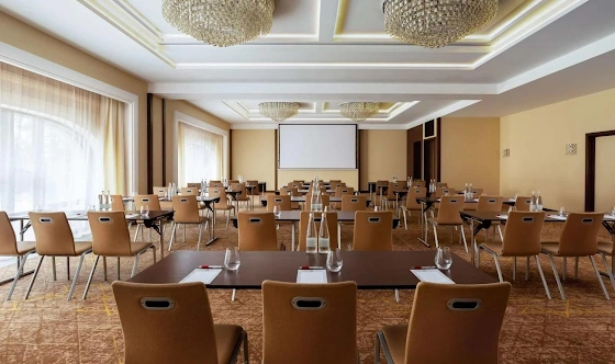 Фото №13 зала Зал «Чайковский»