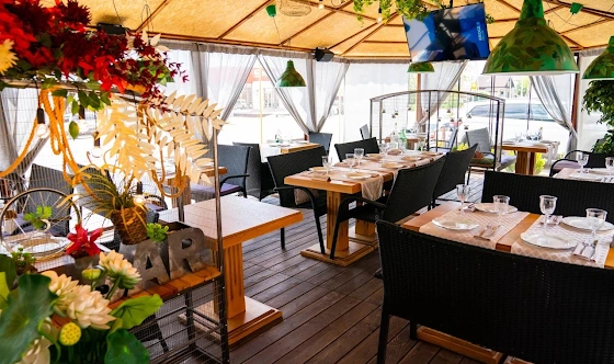 Фото №2 зала Летняя вернада