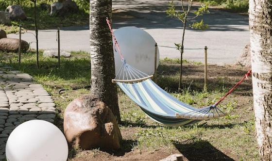 Фото №15 зала Летняя терраса 