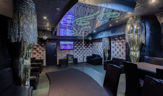 Фото №5 зала Зал «Караоке Вип»