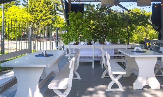 Фото №5 зала Терраса нижняя