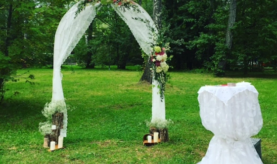 Фото №4 зала Поляна сказок