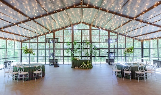 Фото №12 зала Веранда «Дивный Лес»