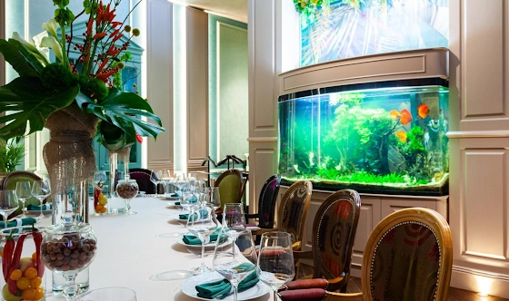 Фото №15 зала Leyenda