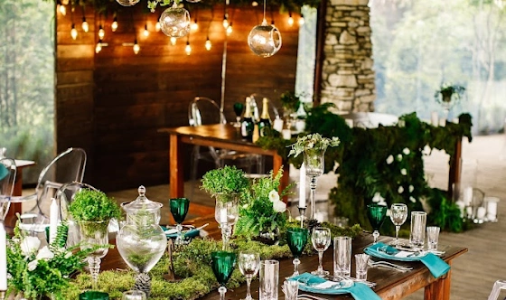 Фото №7 зала Веранда