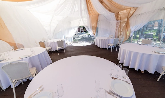 Фото №5 зала Шатер AL'TAIRE