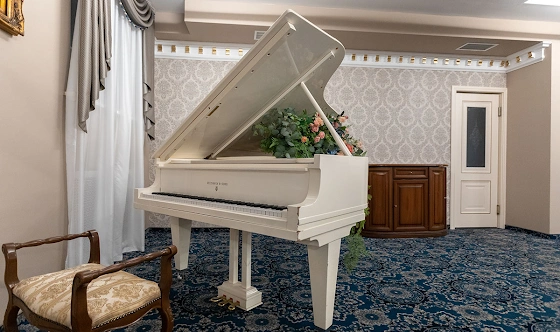 Фото №11 зала Зал Voice