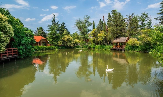 Фото №4 зала Беседки 