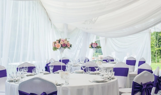 Фото №16 зала Шатер Sky