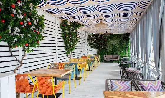 Фото №1 зала Летняя терраса