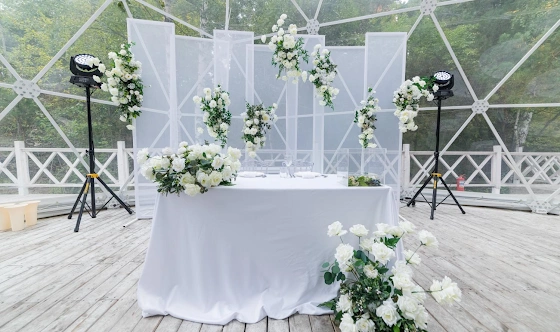 Фото №6 зала Шатер «Лесная сфера»