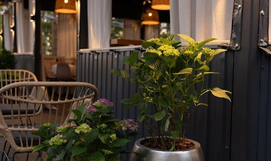 Фото №13 зала Летняя терраса