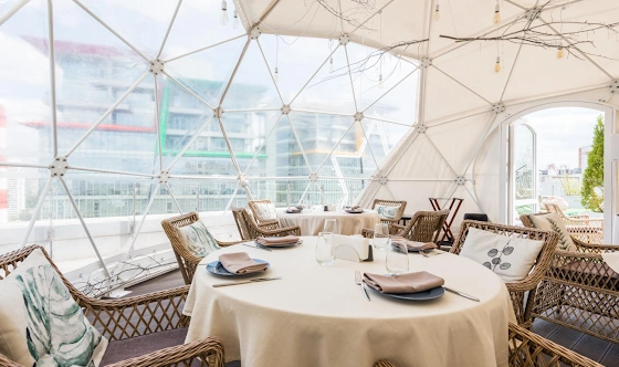 Фото №6 зала Иглу белая