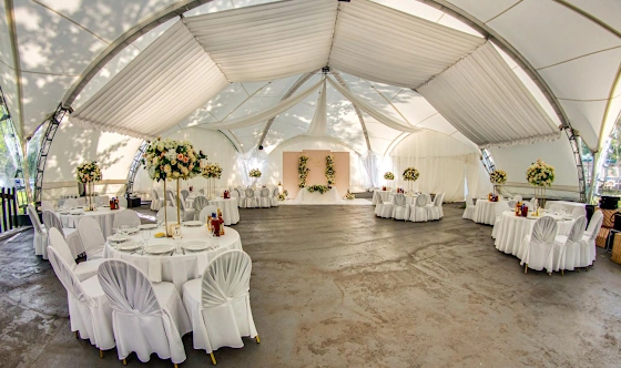 Фото №8 зала Шатер «Олимпия»