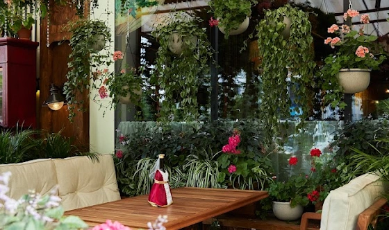 Фото №8 зала Летняя веранда 