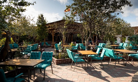 Фото №11 зала Летняя веранда 