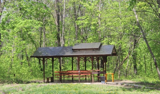 Фото №3 зала Малая летняя беседка