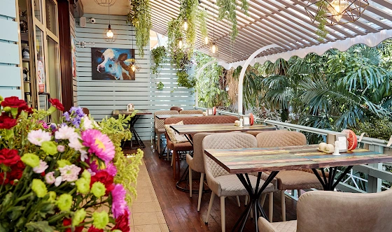 Фото №1 зала Веранда