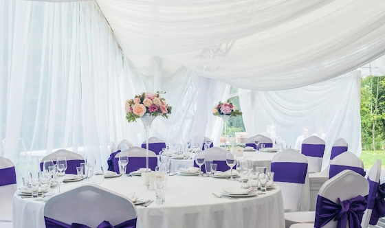 Фото №19 зала Шатер Sky