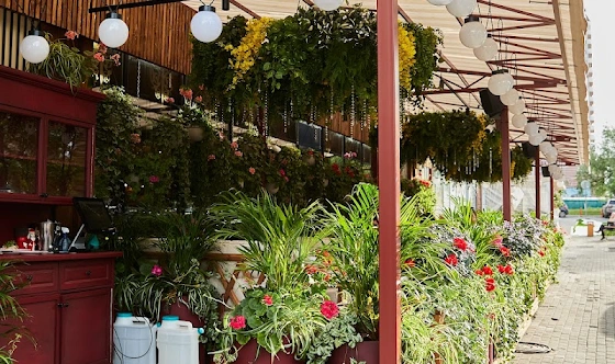 Фото №7 зала Летняя веранда 