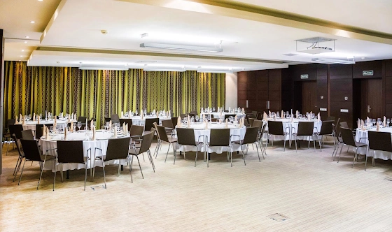 Фото №10 зала Зал «Калуга»