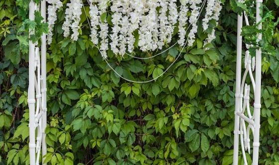 Фото №9 зала Банкетный зал