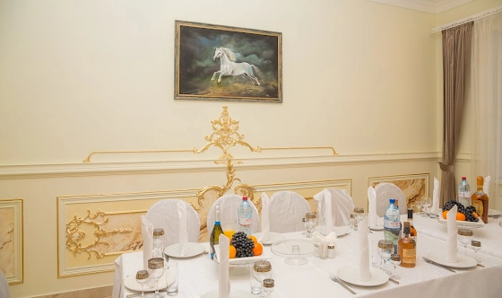 Фото №8 зала VIP-зал