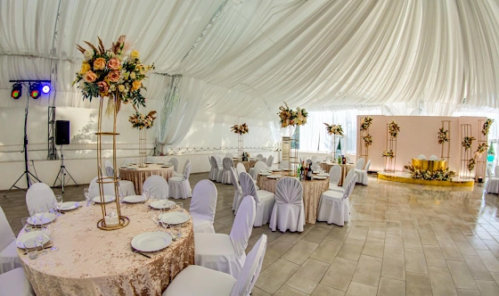 Фото №11 зала Шатер «Континент»