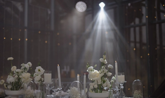 Фото №13 зала Оранжерея «Ботаника»