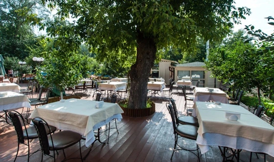 Фото №2 зала Летняя веранда