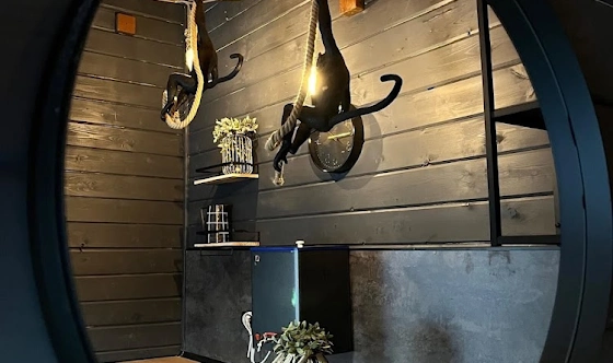 Фото №6 зала Пар хаус